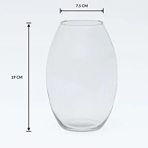 Craftfry Oval Shaped Glass Vase: Elegant 8-Inch Decor Piece, Ideal Gift for Any Occasion, Enhance Your Home Decor with Timeless Sophistication (Pack of 1)