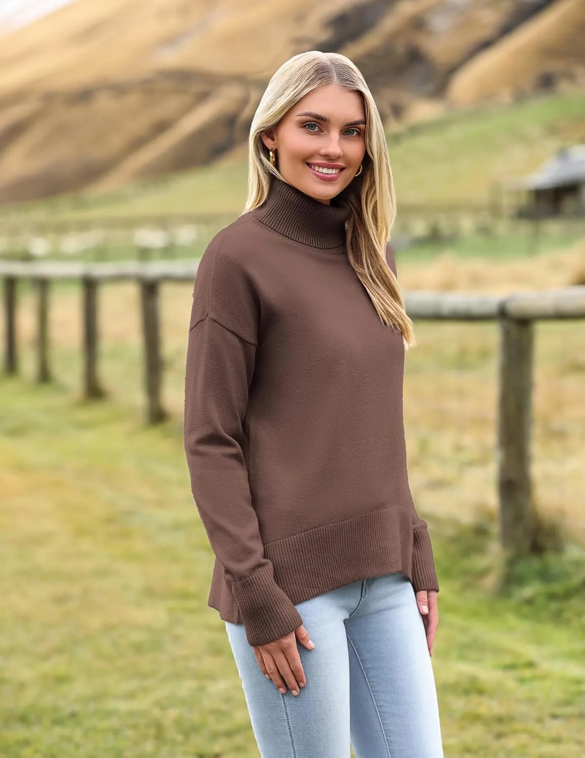 (DE Only) Zeagoo Pullover Women's Turtleneck Elegant Long Sleeve Jumper