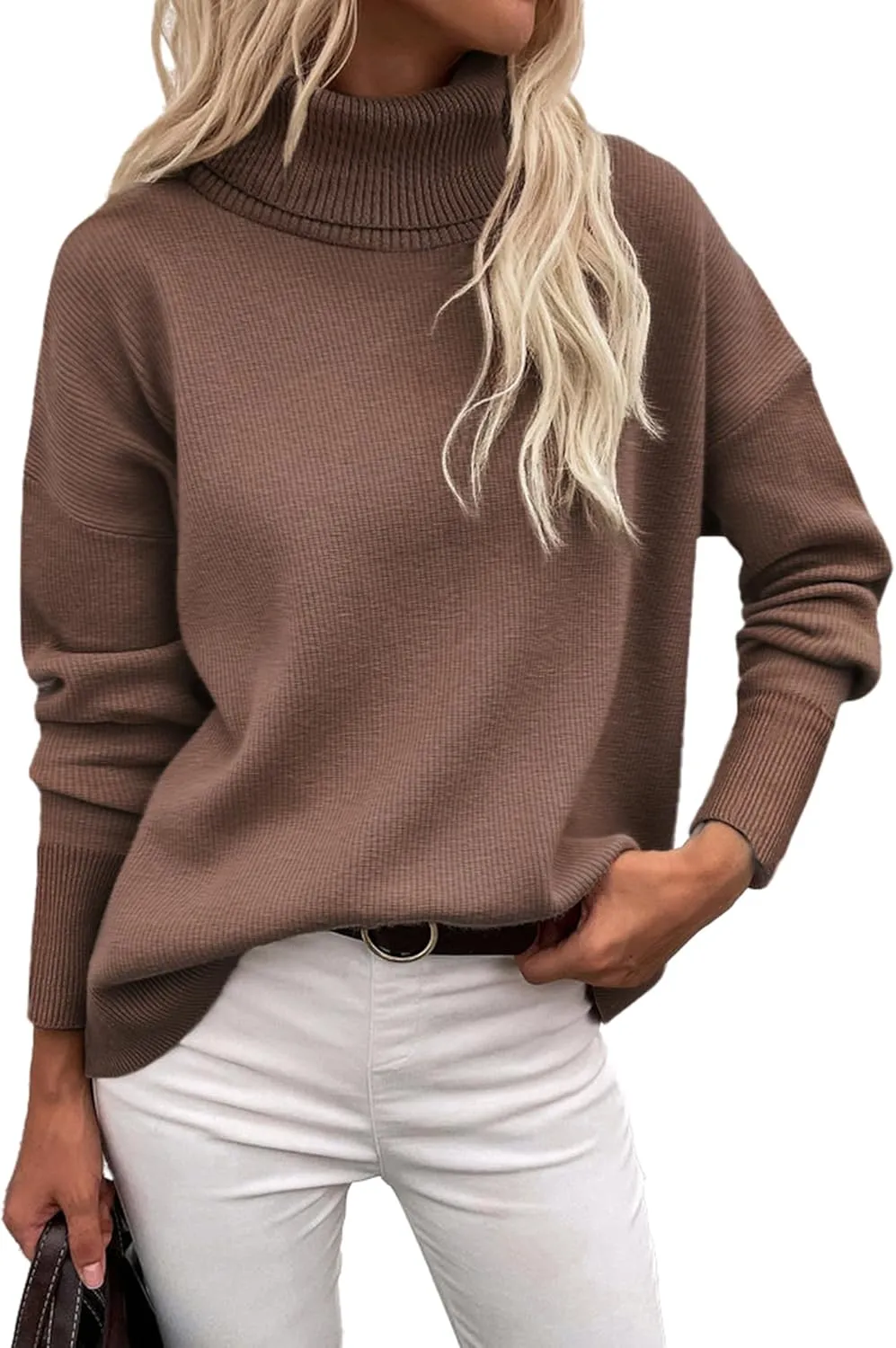 (DE Only) Zeagoo Pullover Women's Turtleneck Elegant Long Sleeve Jumper