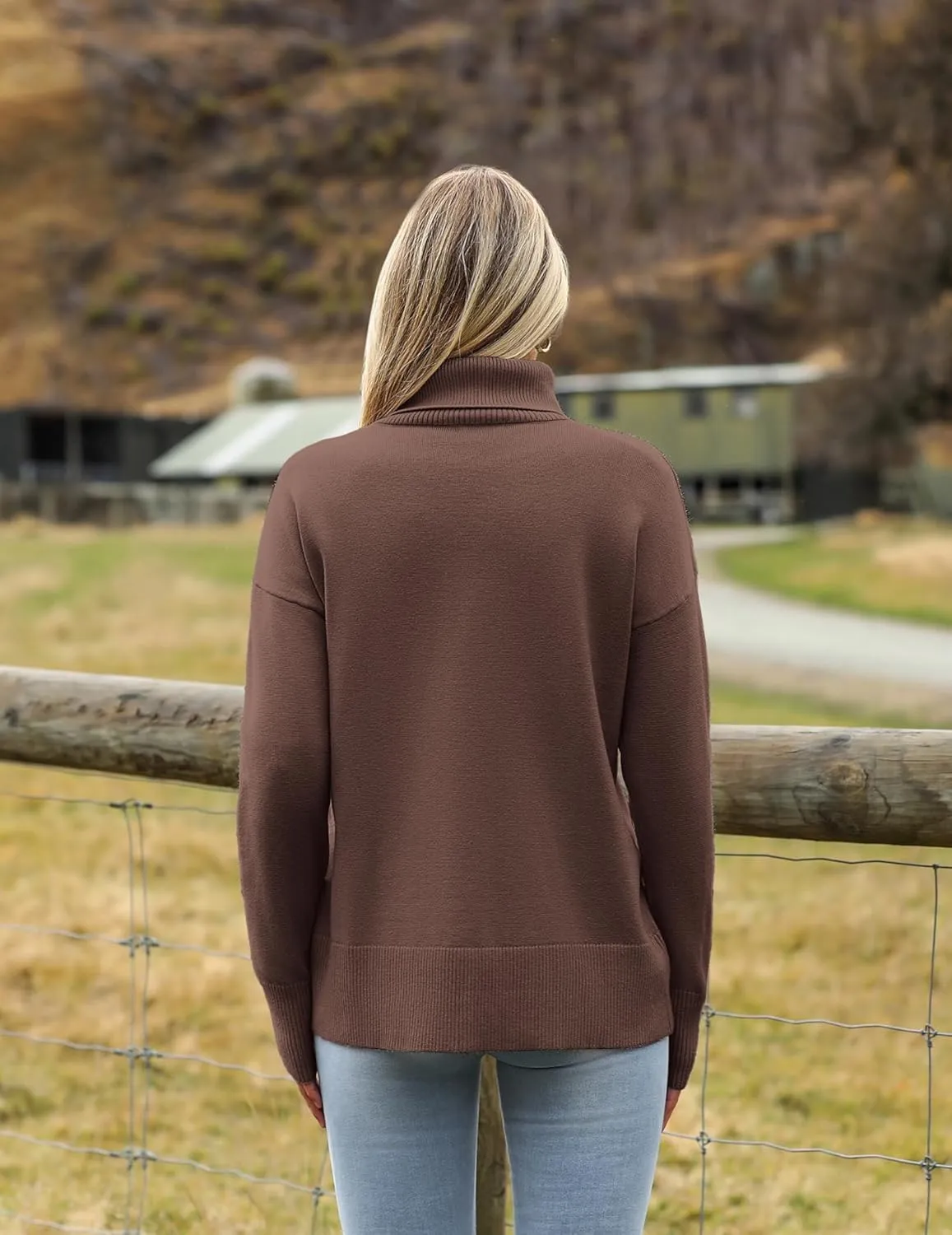 (DE Only) Zeagoo Pullover Women's Turtleneck Elegant Long Sleeve Jumper