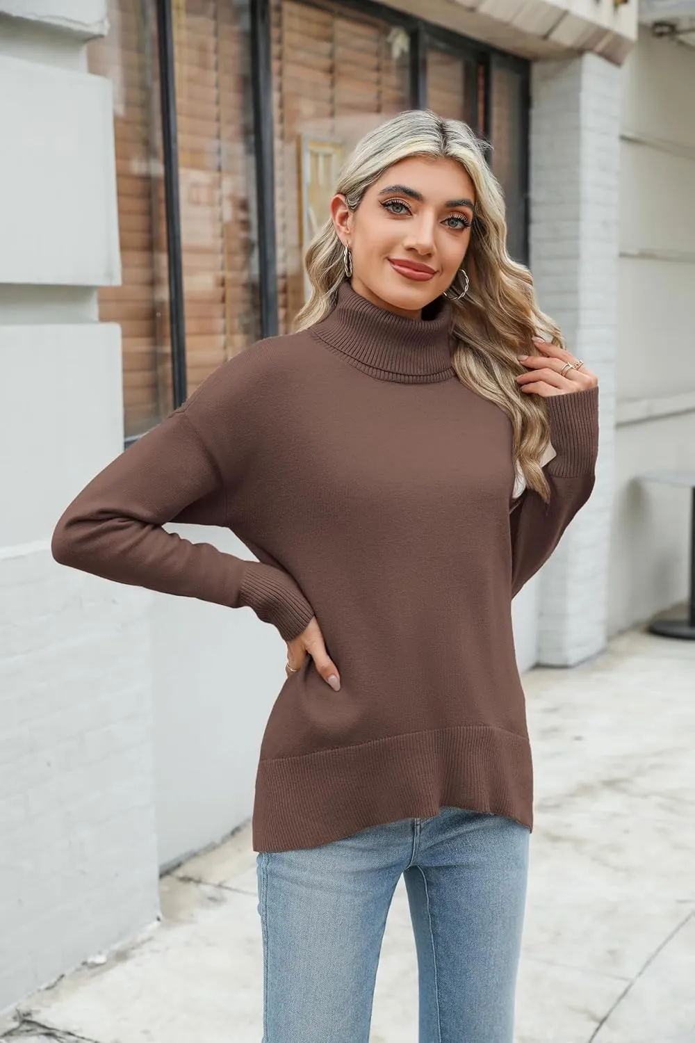 (DE Only) Zeagoo Pullover Women's Turtleneck Elegant Long Sleeve Jumper