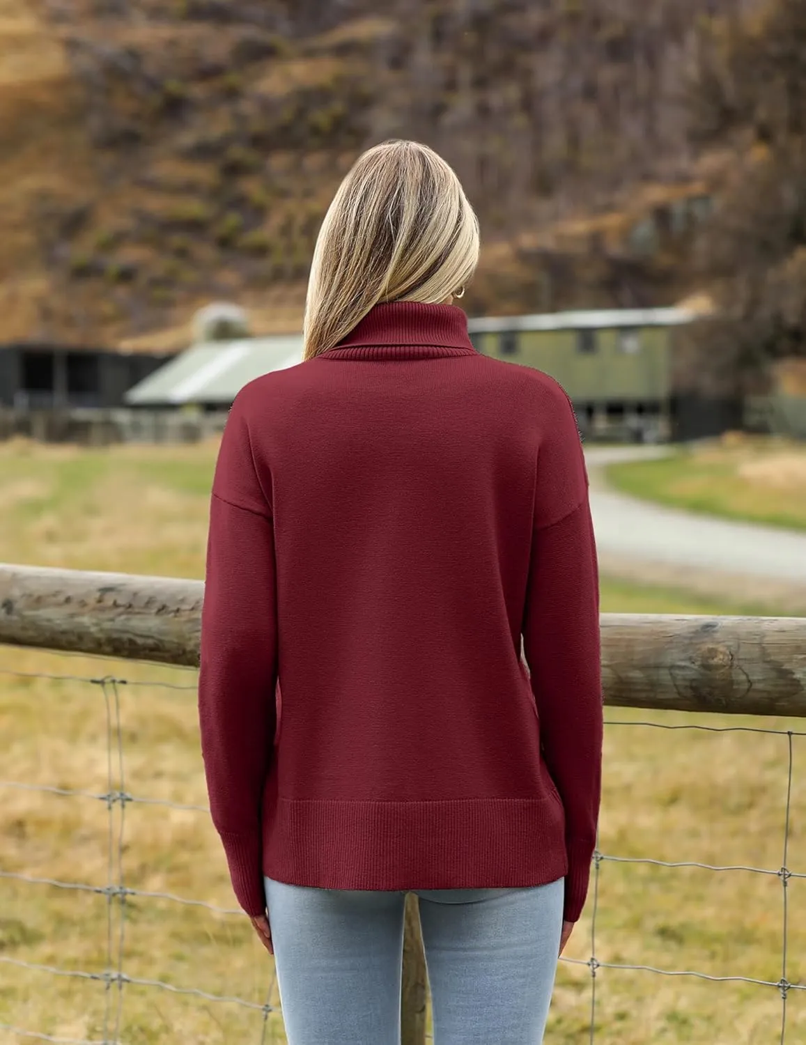 (DE Only) Zeagoo Pullover Women's Turtleneck Elegant Long Sleeve Jumper